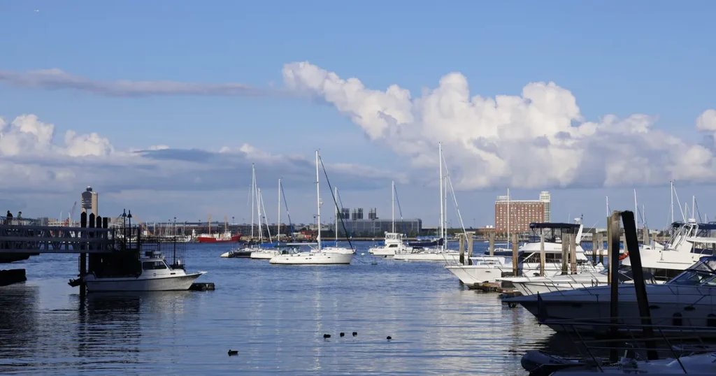 Sailboats and motor yachts moored in a calm marina on a sunny day.